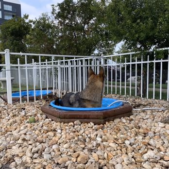 PETA's Dog Park photo 1